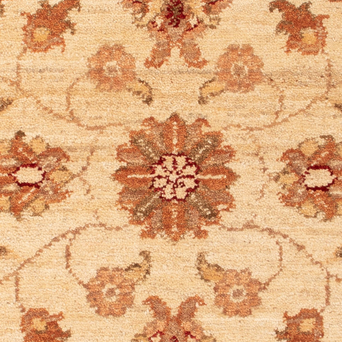Alfombra Ziegler - 93 x 64 cm - beige