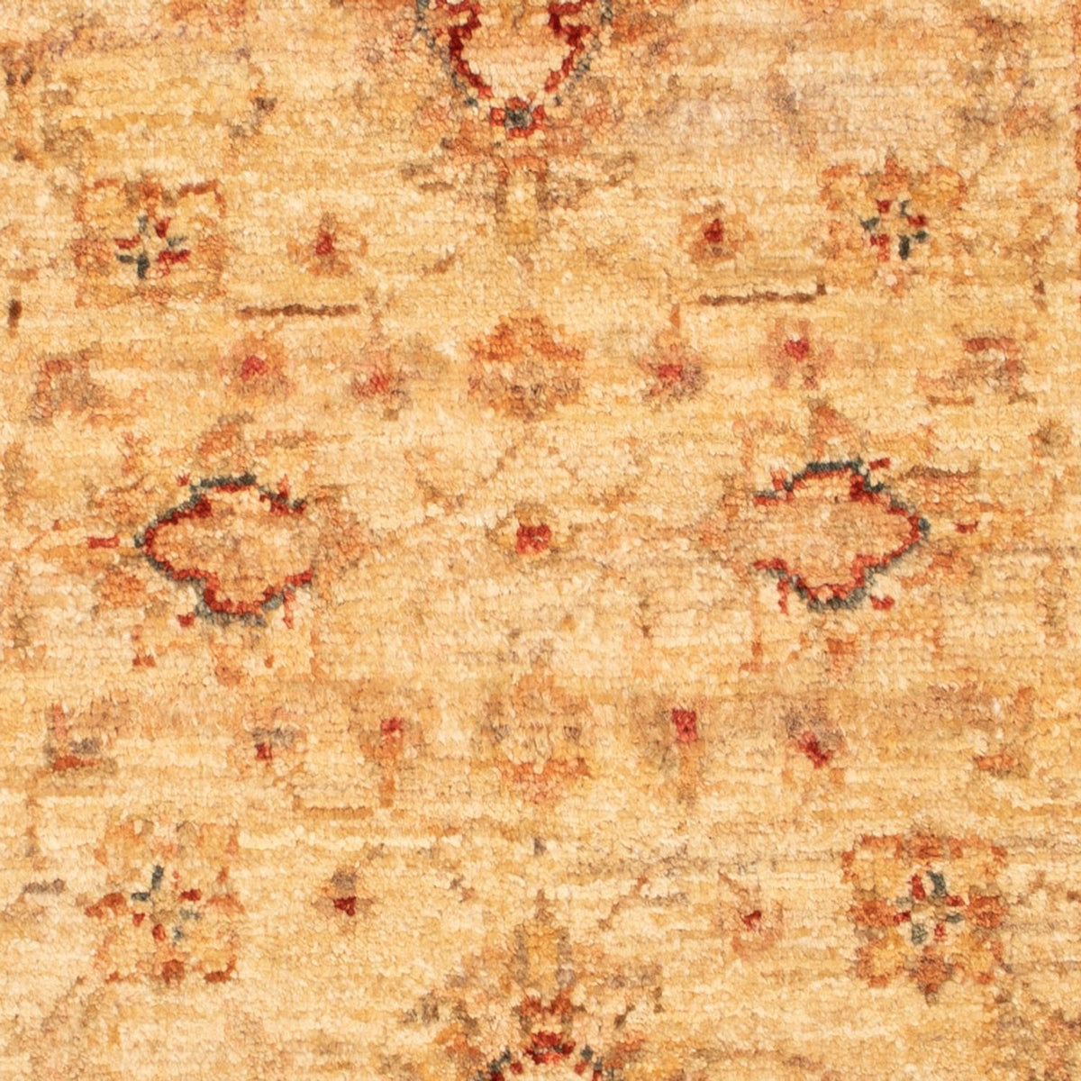 Alfombra Ziegler - 88 x 61 cm - beige