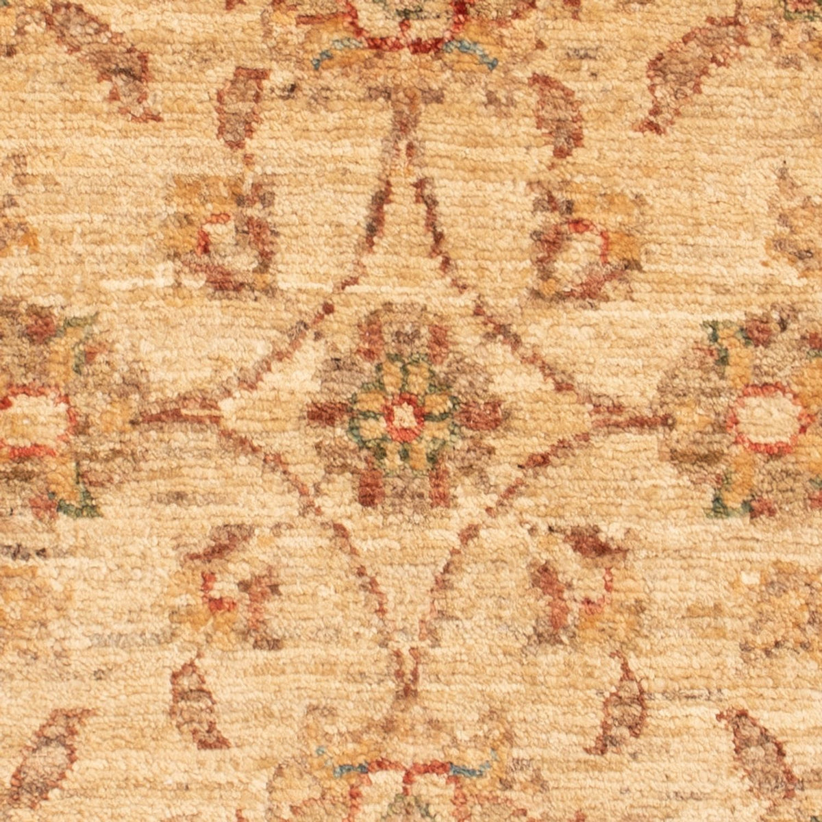 Alfombra Ziegler - 70 x 50 cm - beige