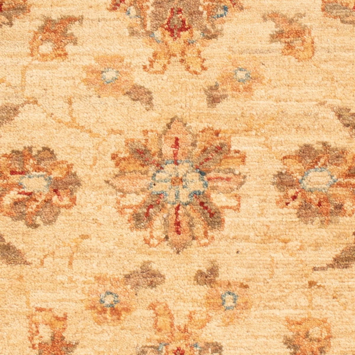 Alfombra Ziegler - 90 x 58 cm - beige