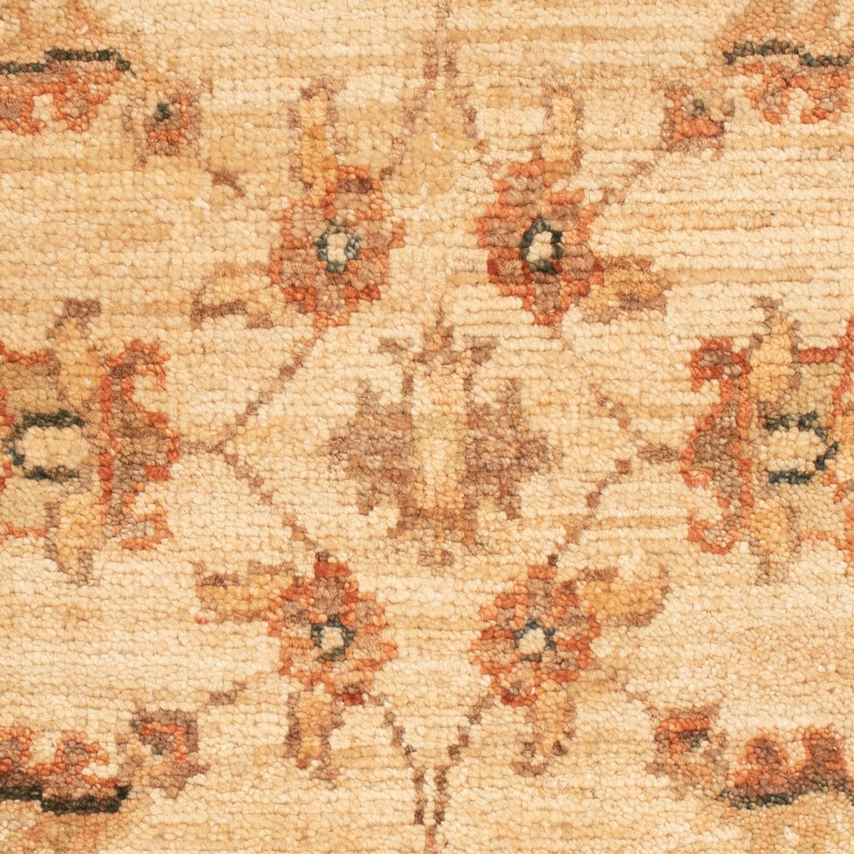 Alfombra Ziegler - 68 x 50 cm - beige
