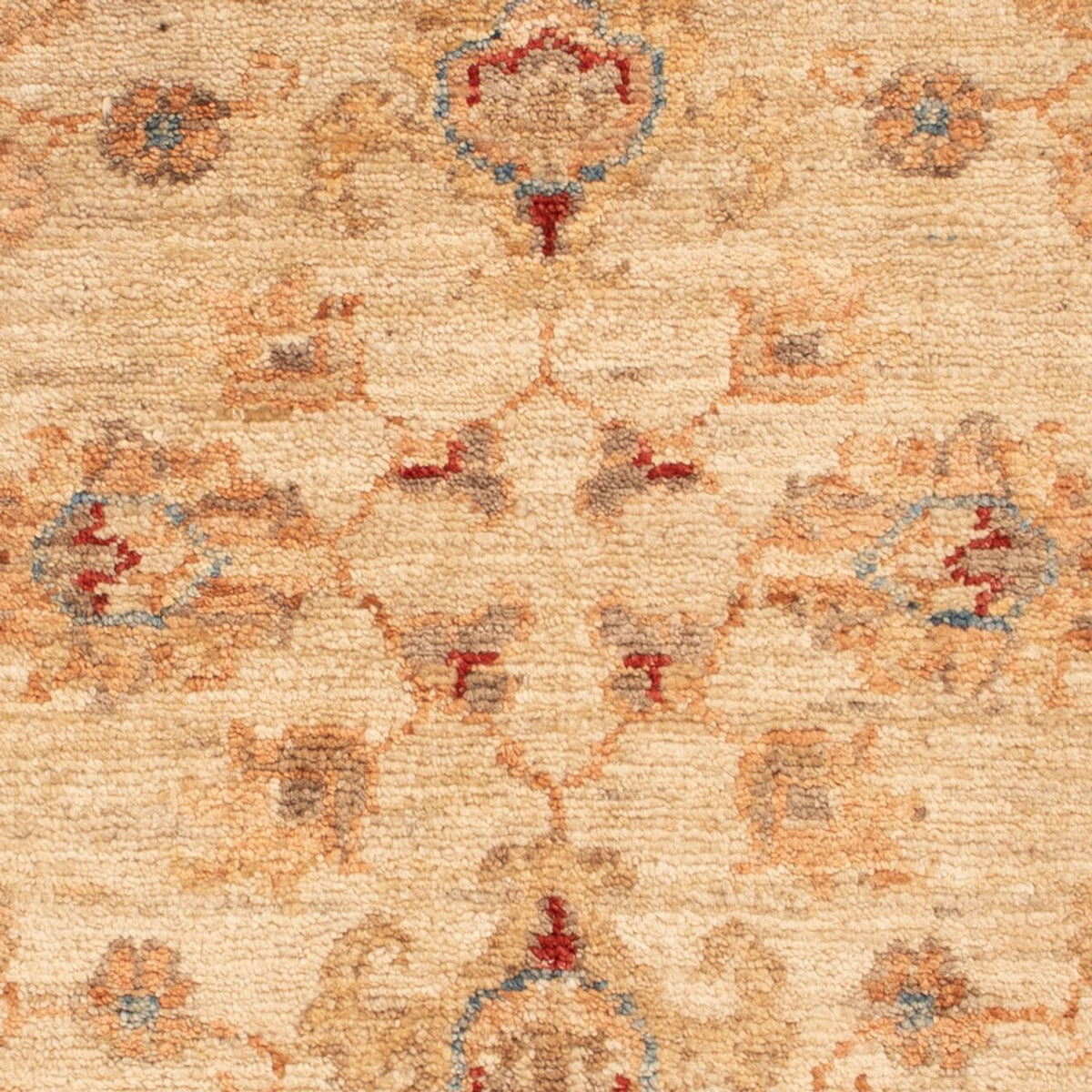 Alfombra Ziegler - 80 x 60 cm - beige