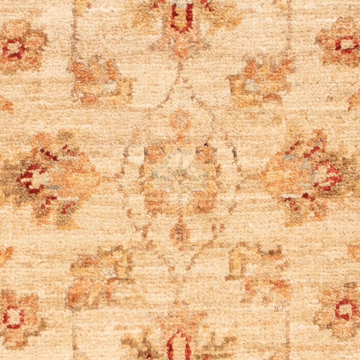 Alfombra Ziegler - 67 x 50 cm - beige