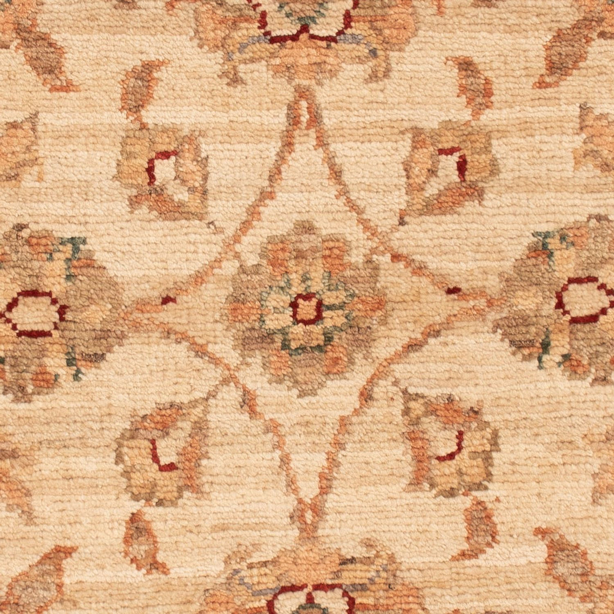 Alfombra Ziegler - 70 x 49 cm - beige