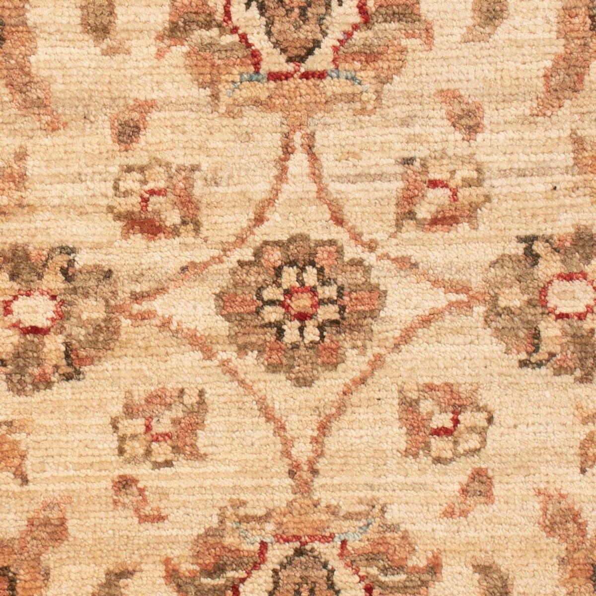 Alfombra Ziegler - 71 x 50 cm - beige