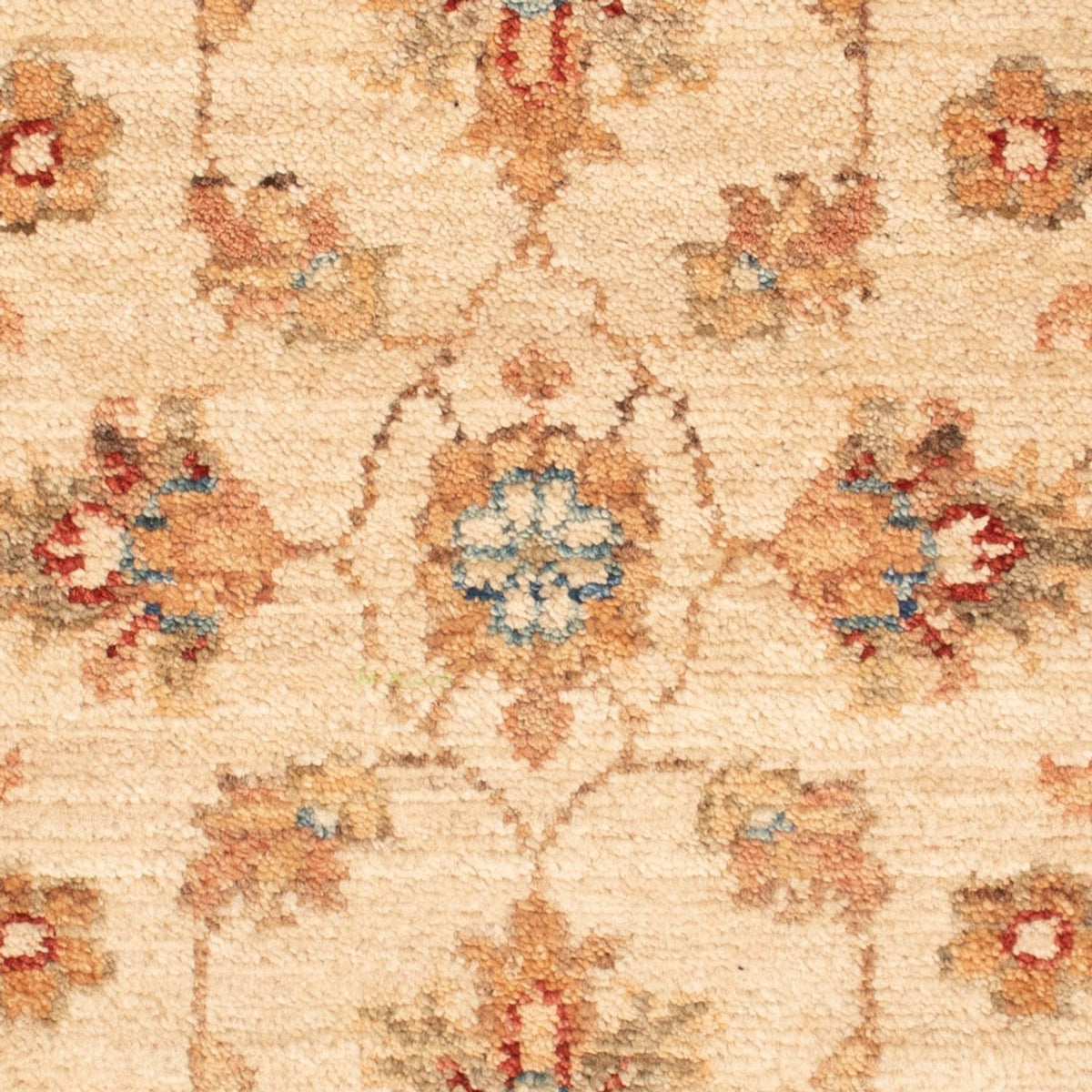 Alfombra Ziegler - 71 x 52 cm - beige