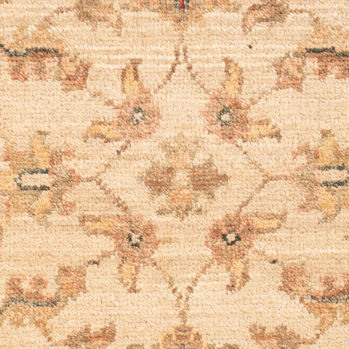 Alfombra Ziegler - 69 x 49 cm - beige