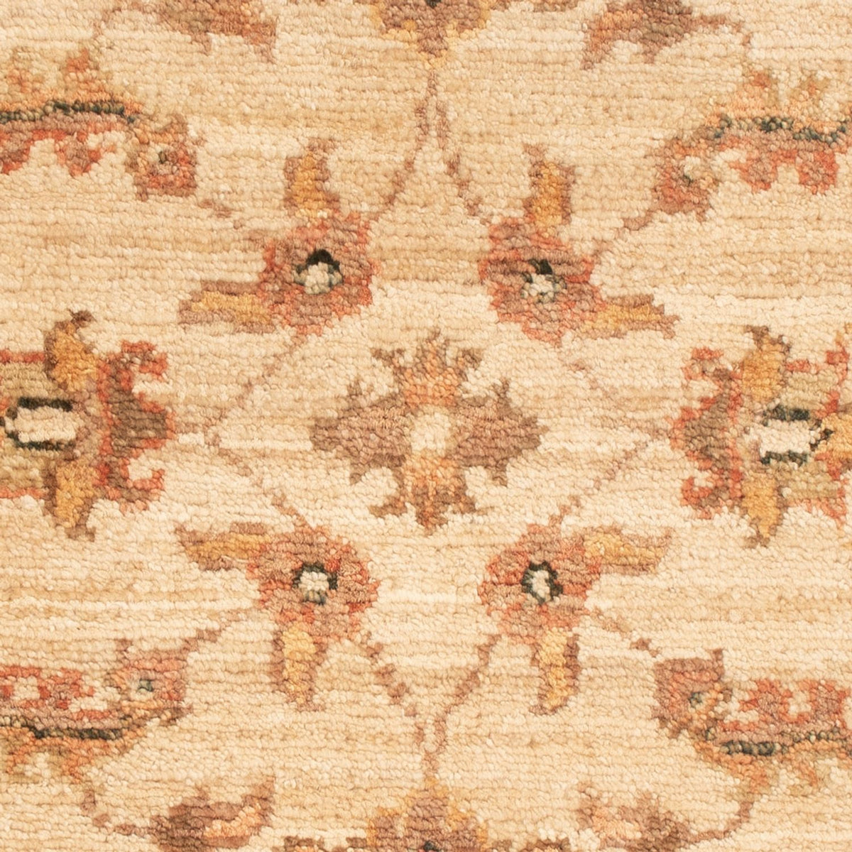 Alfombra Ziegler - 66 x 50 cm - beige