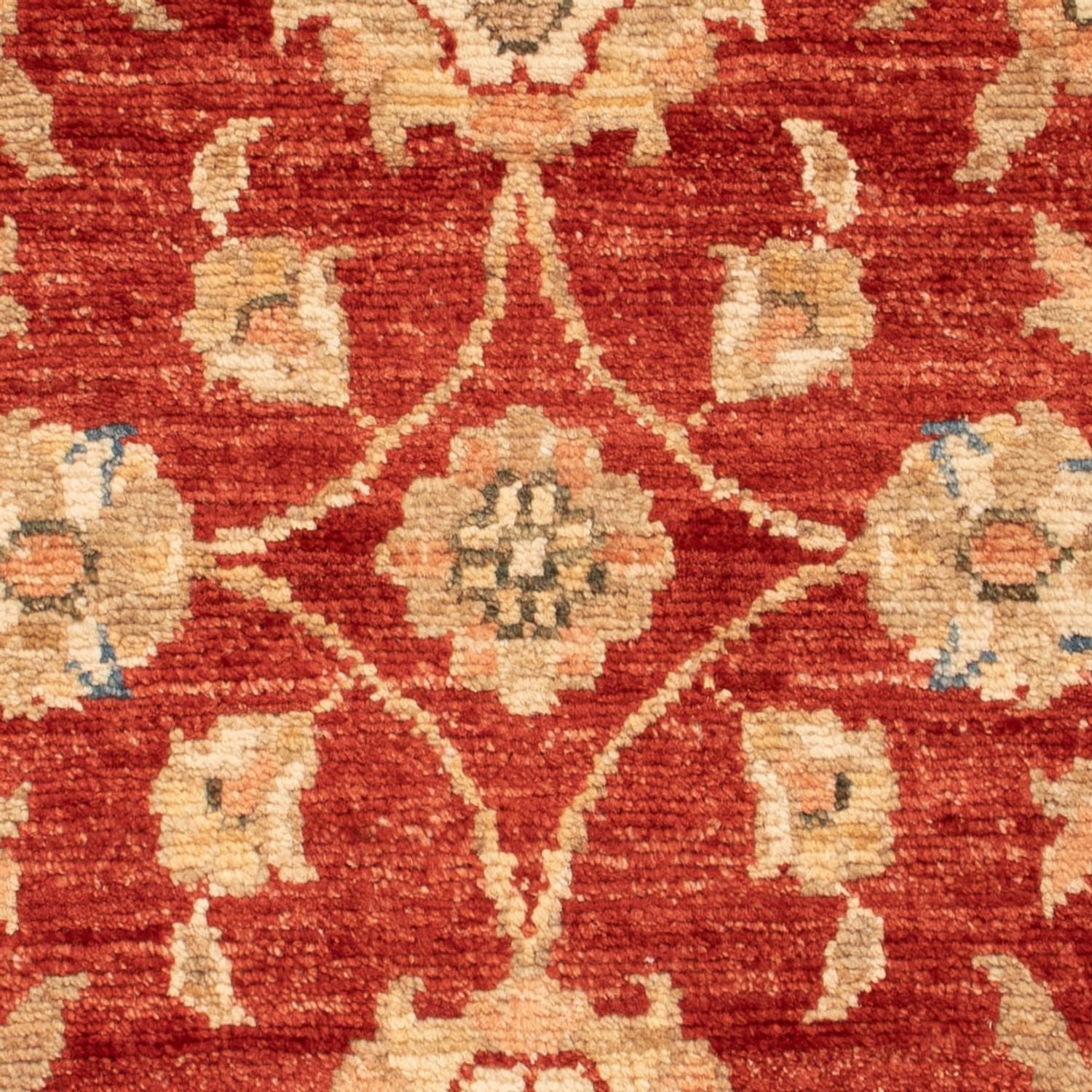 Alfombra Ziegler - 73 x 54 cm - rojo burdeos