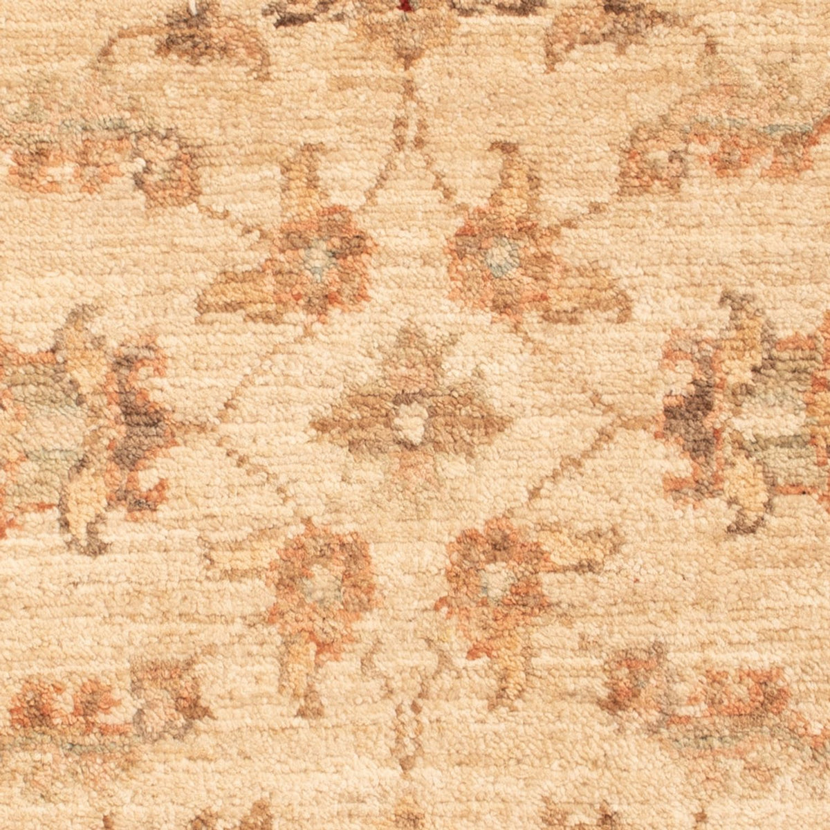 Alfombra Ziegler - 70 x 51 cm - beige