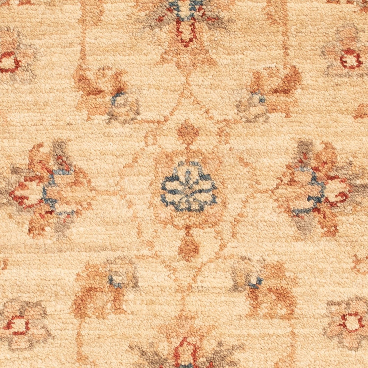 Alfombra Ziegler - 69 x 52 cm - beige