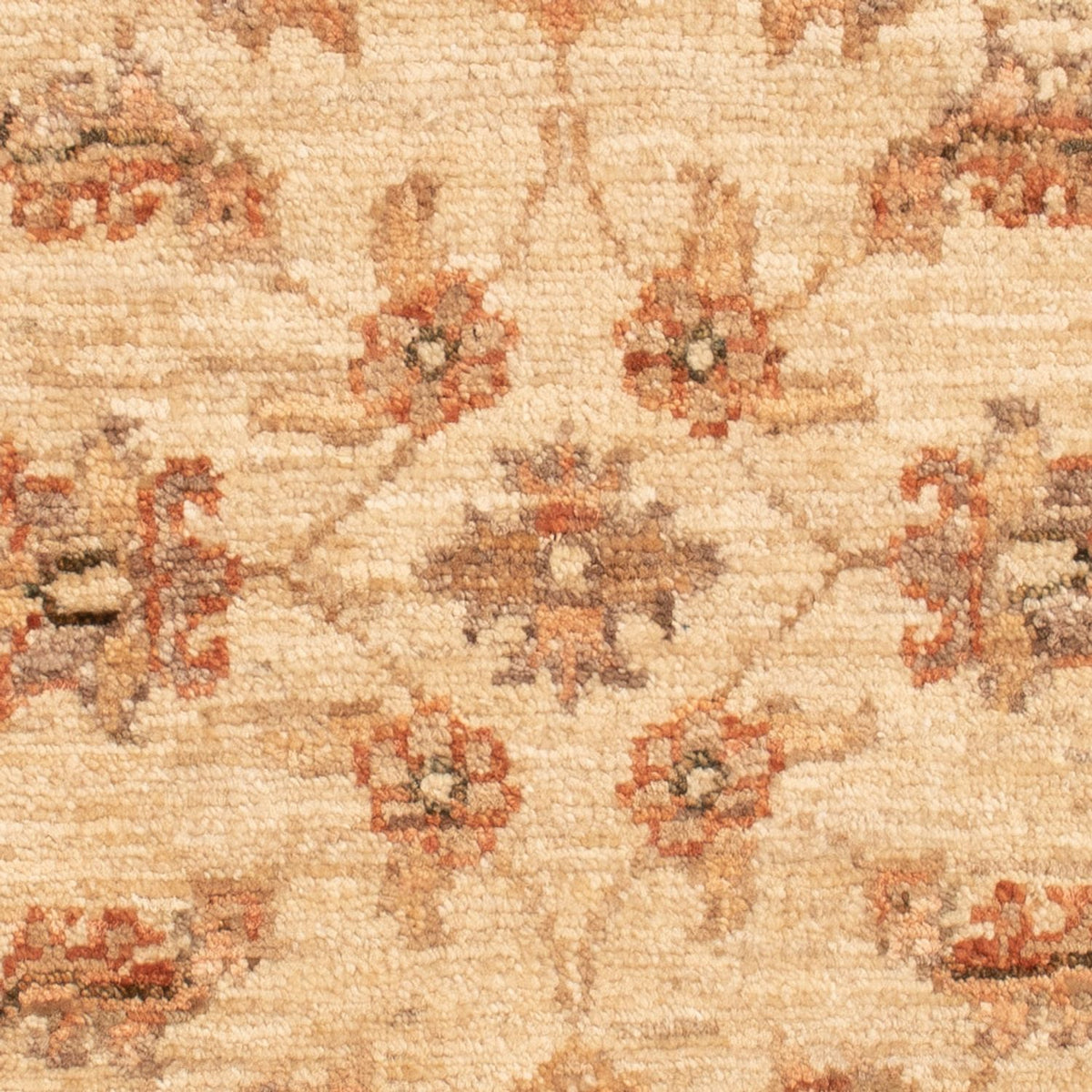 Alfombra Ziegler - 72 x 54 cm - beige