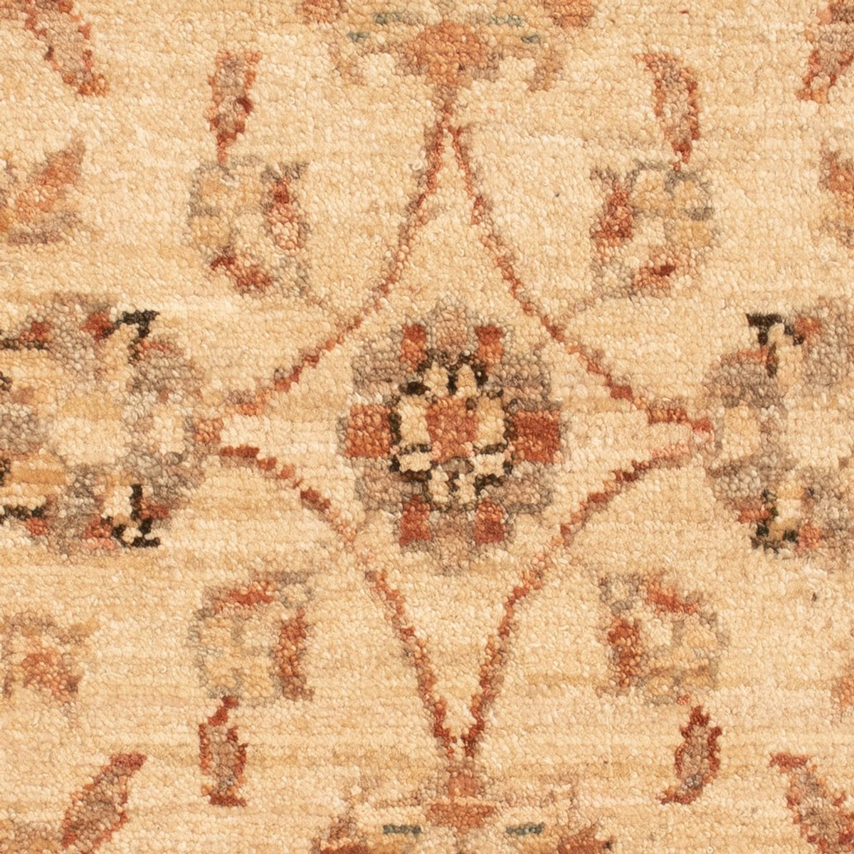 Alfombra Ziegler - 73 x 51 cm - beige