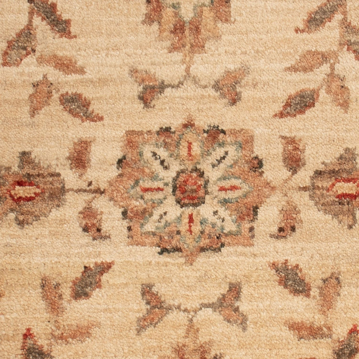 Alfombra Ziegler - 70 x 50 cm - beige