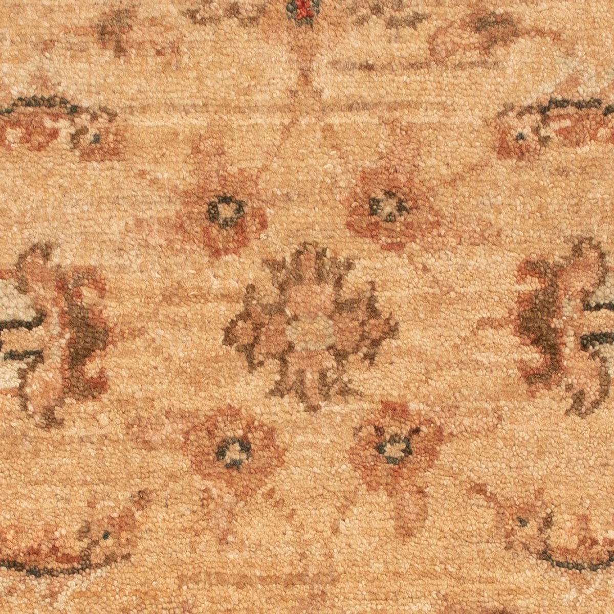 Alfombra Ziegler - 62 x 48 cm - beige oscuro