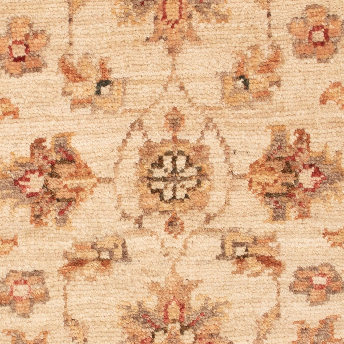 Alfombra Ziegler - 70 x 52 cm - beige