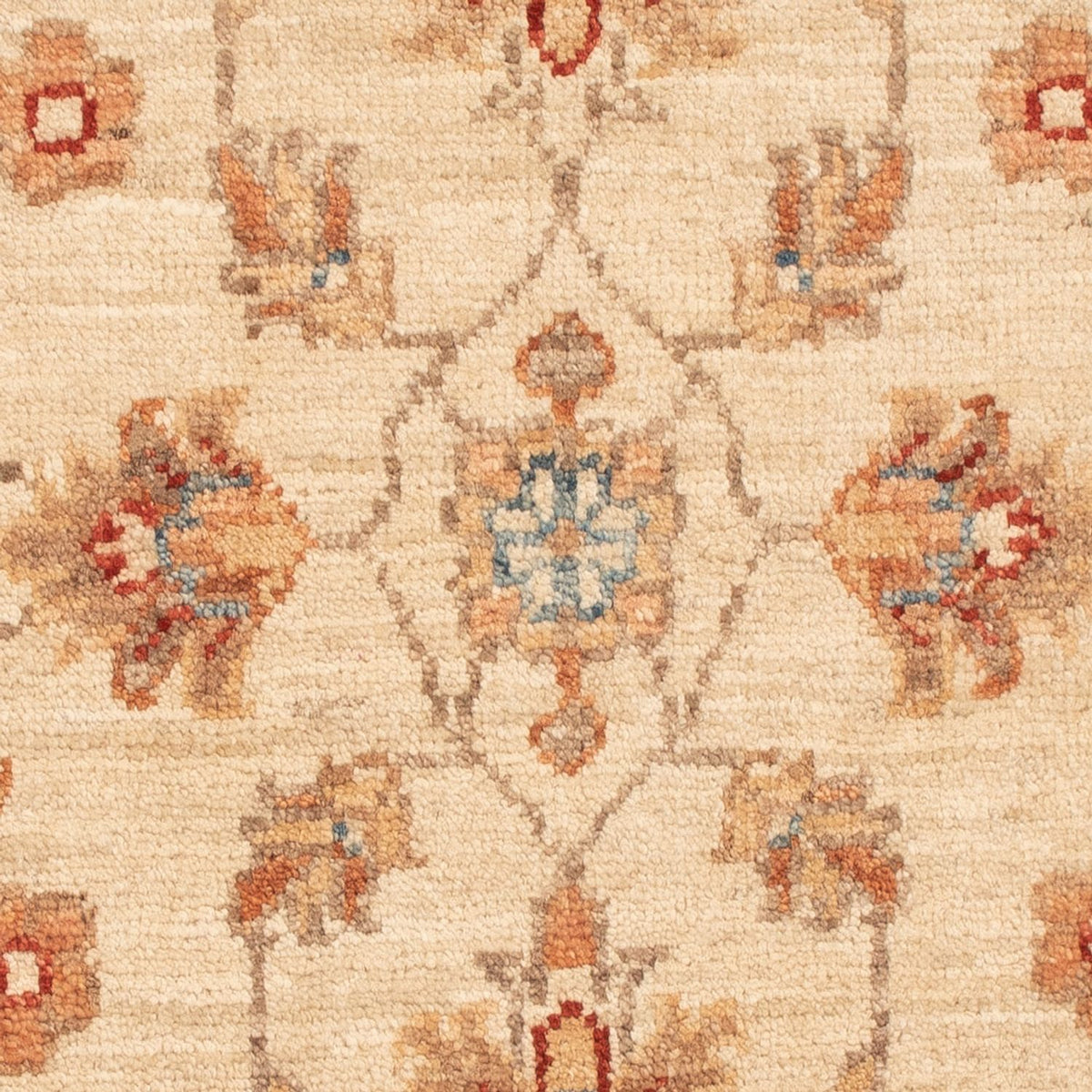 Alfombra Ziegler - 70 x 51 cm - beige