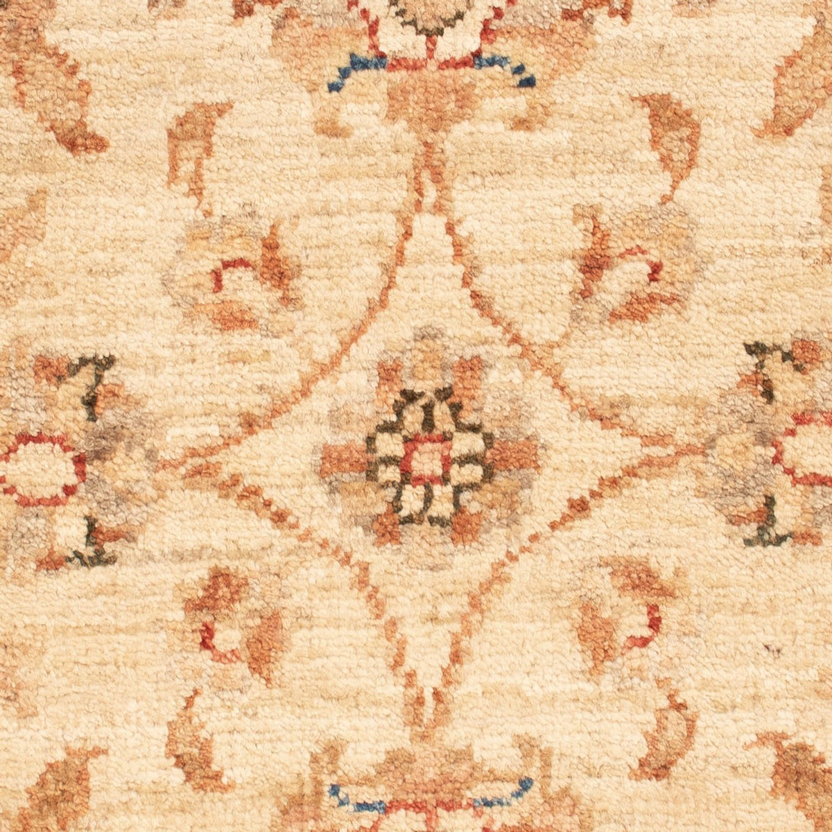 Alfombra Ziegler - 70 x 51 cm - beige