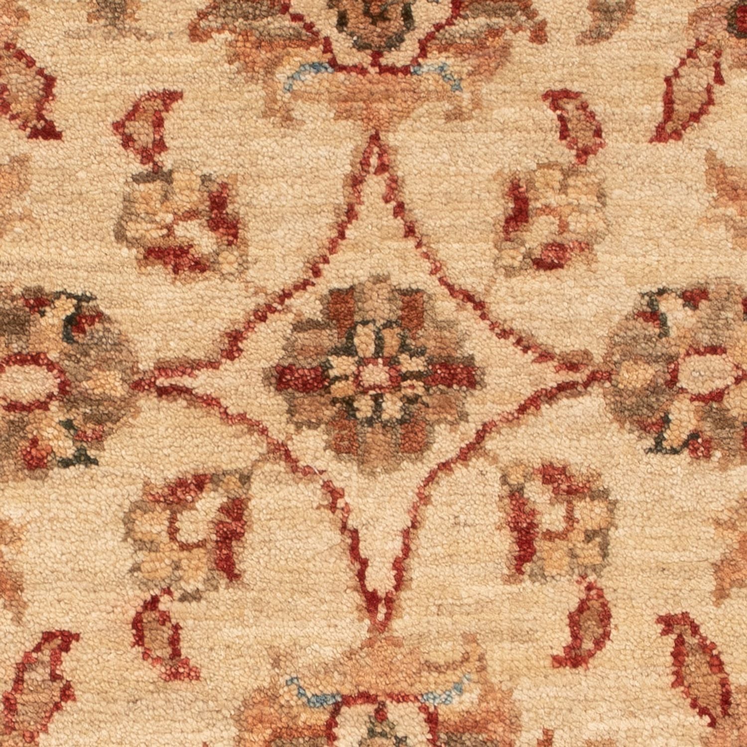 Alfombra Ziegler - 72 x 54 cm - beige