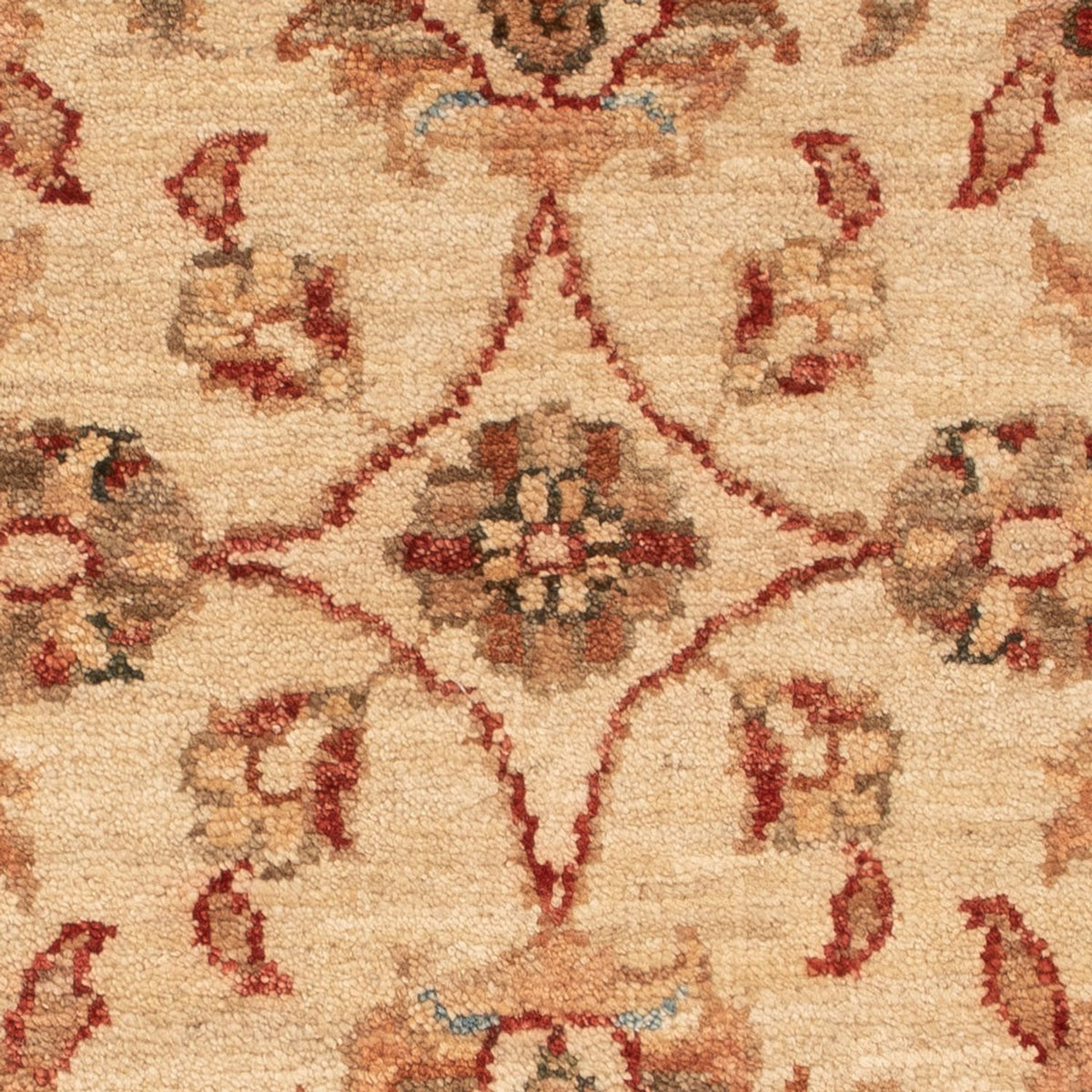Alfombra Ziegler - 72 x 54 cm - beige