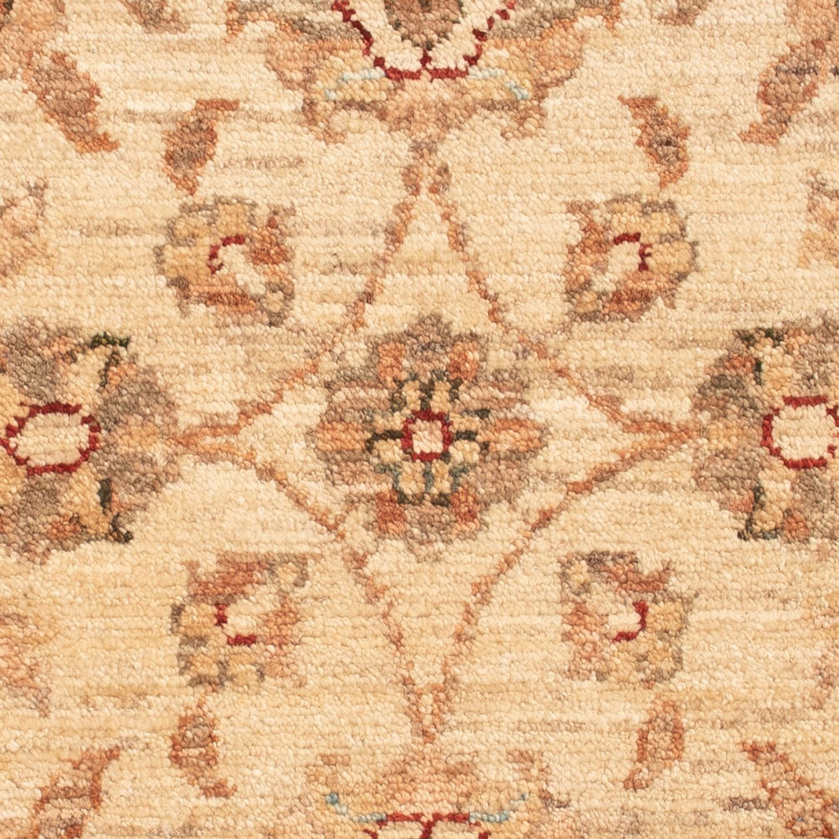Alfombra Ziegler - 72 x 50 cm - beige
