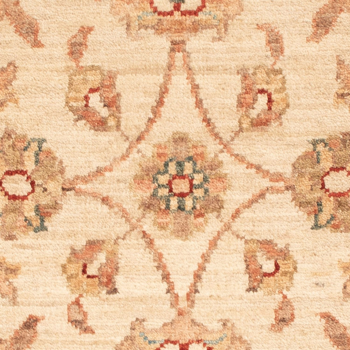 Alfombra Ziegler - 74 x 48 cm - beige