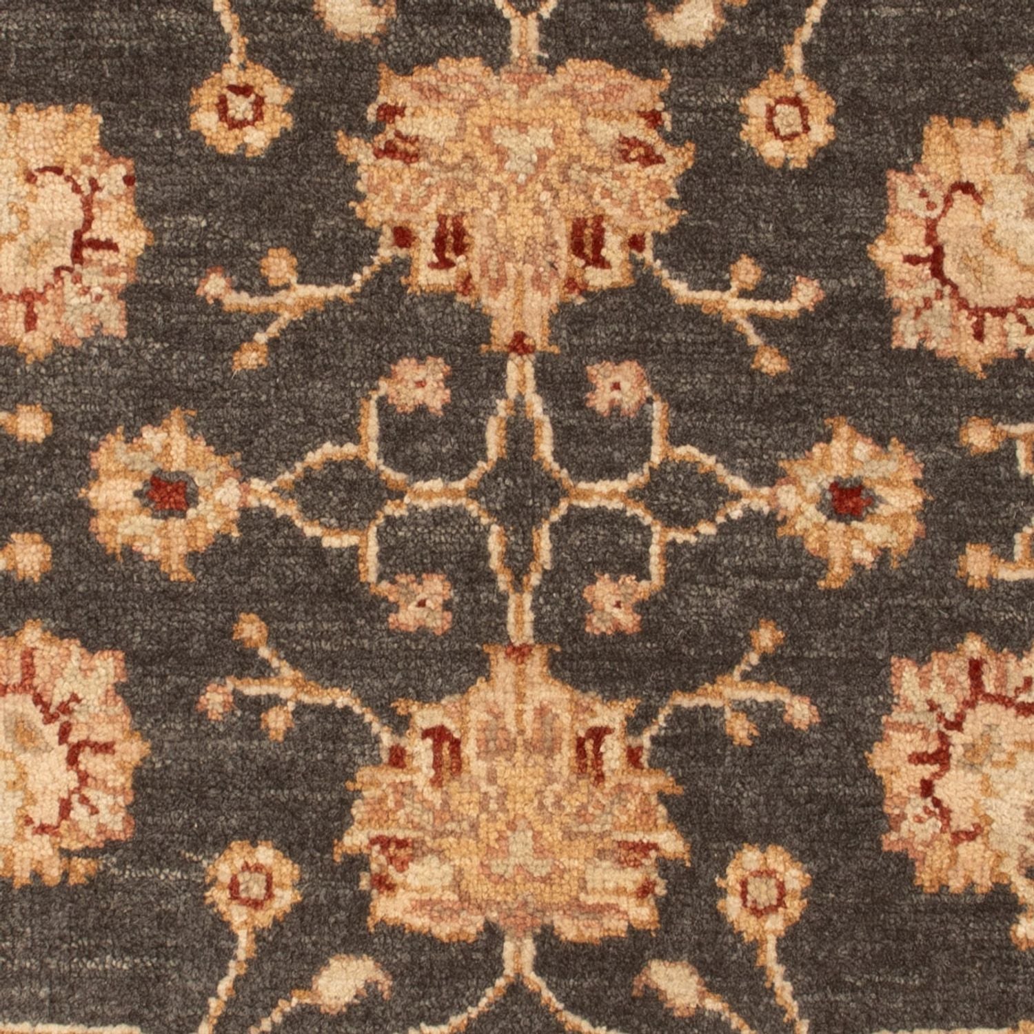 Alfombra Ziegler - 90 x 60 cm - negro
