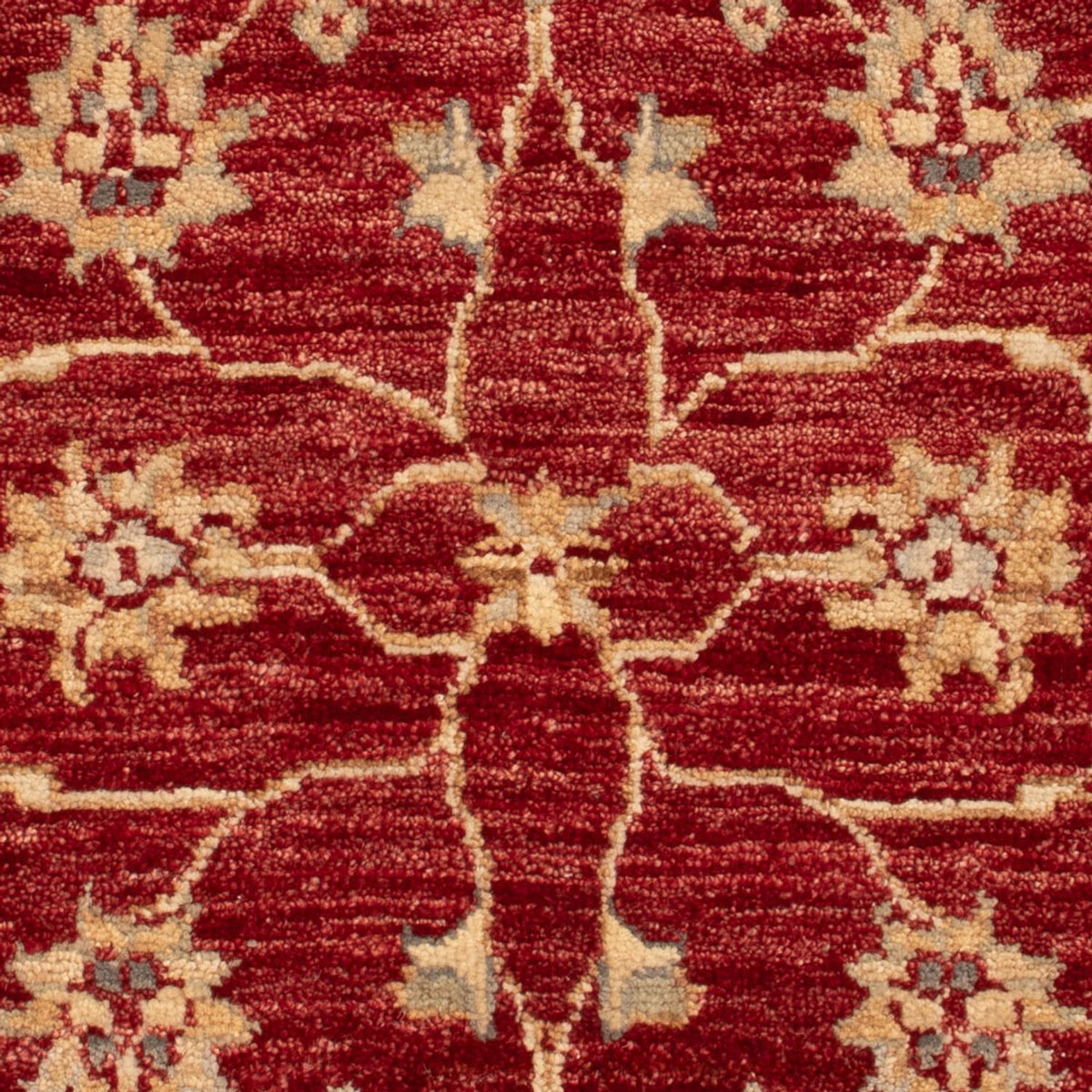 Alfombra Ziegler - 90 x 60 cm - rojo burdeos