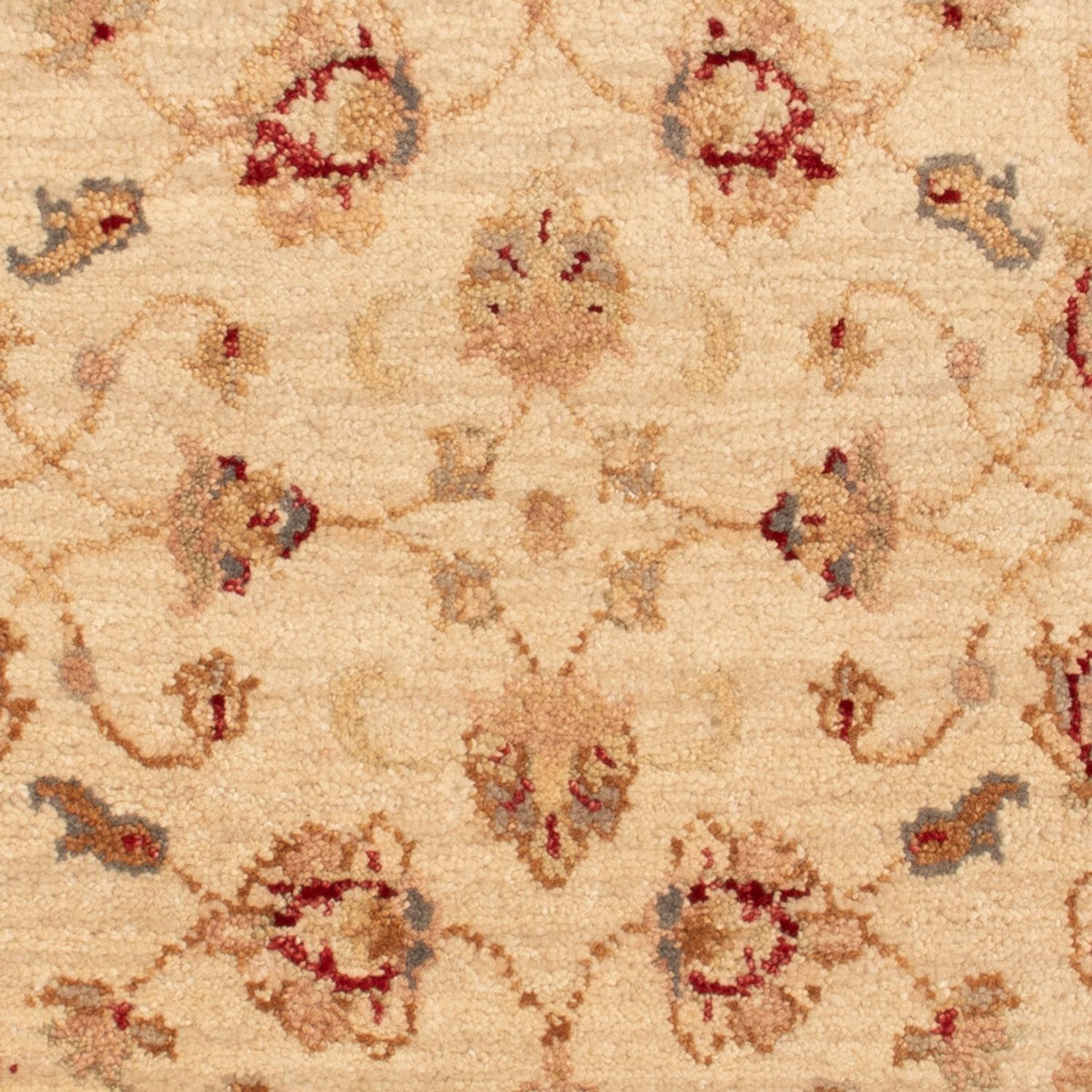 Alfombra Ziegler - 90 x 60 cm - beige