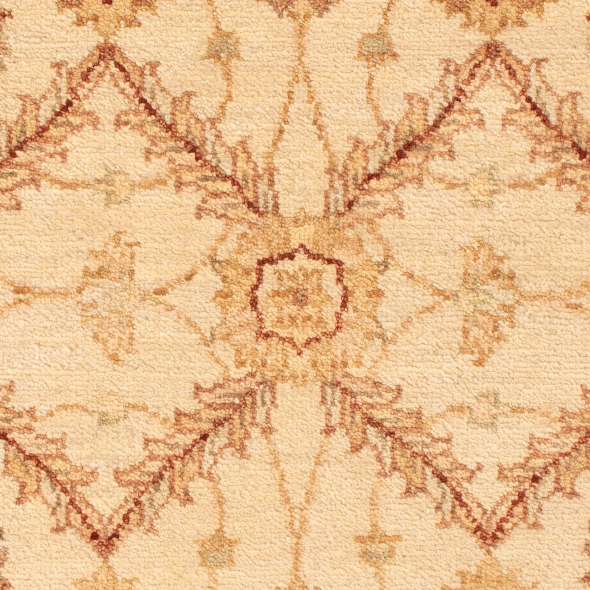 Alfombra Ziegler - 90 x 60 cm - beige