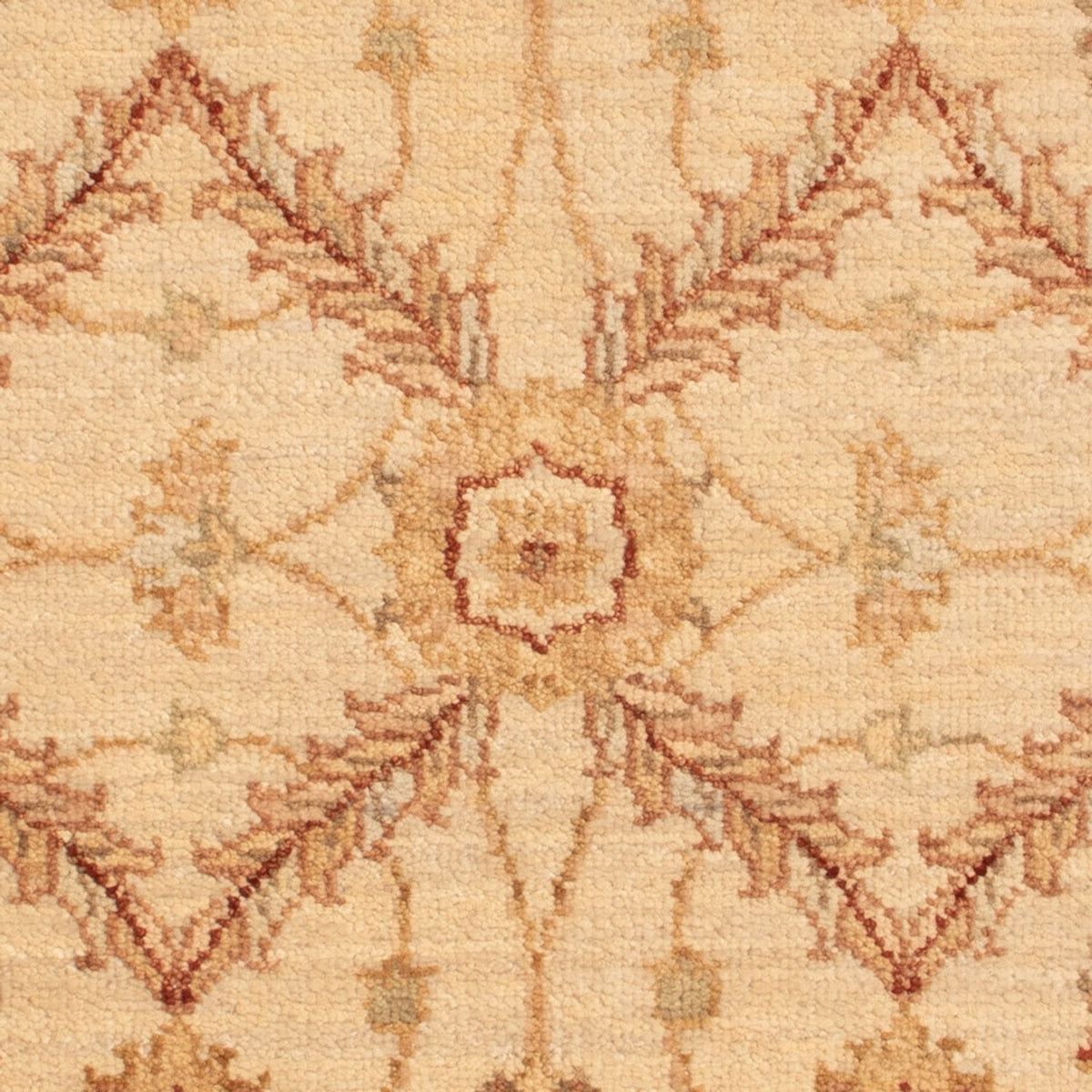 Alfombra Ziegler - 90 x 60 cm - beige