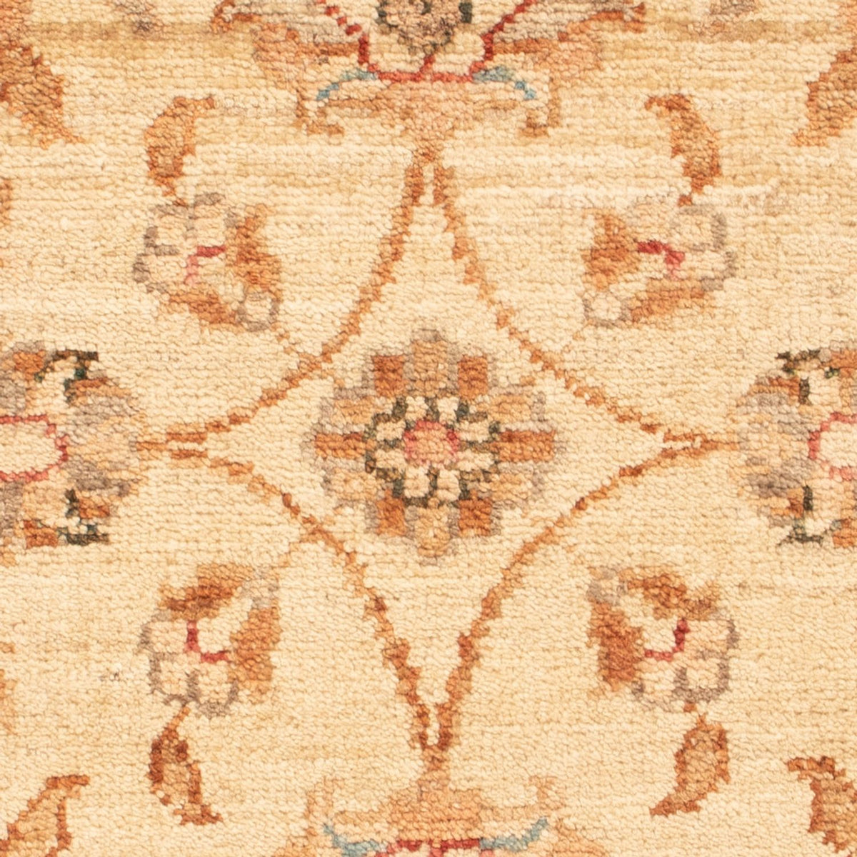 Alfombra Ziegler - 69 x 53 cm - beige
