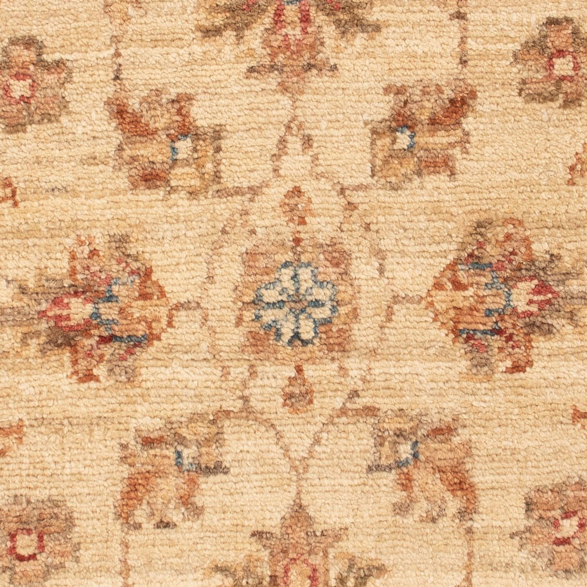 Alfombra Ziegler - 72 x 51 cm - beige