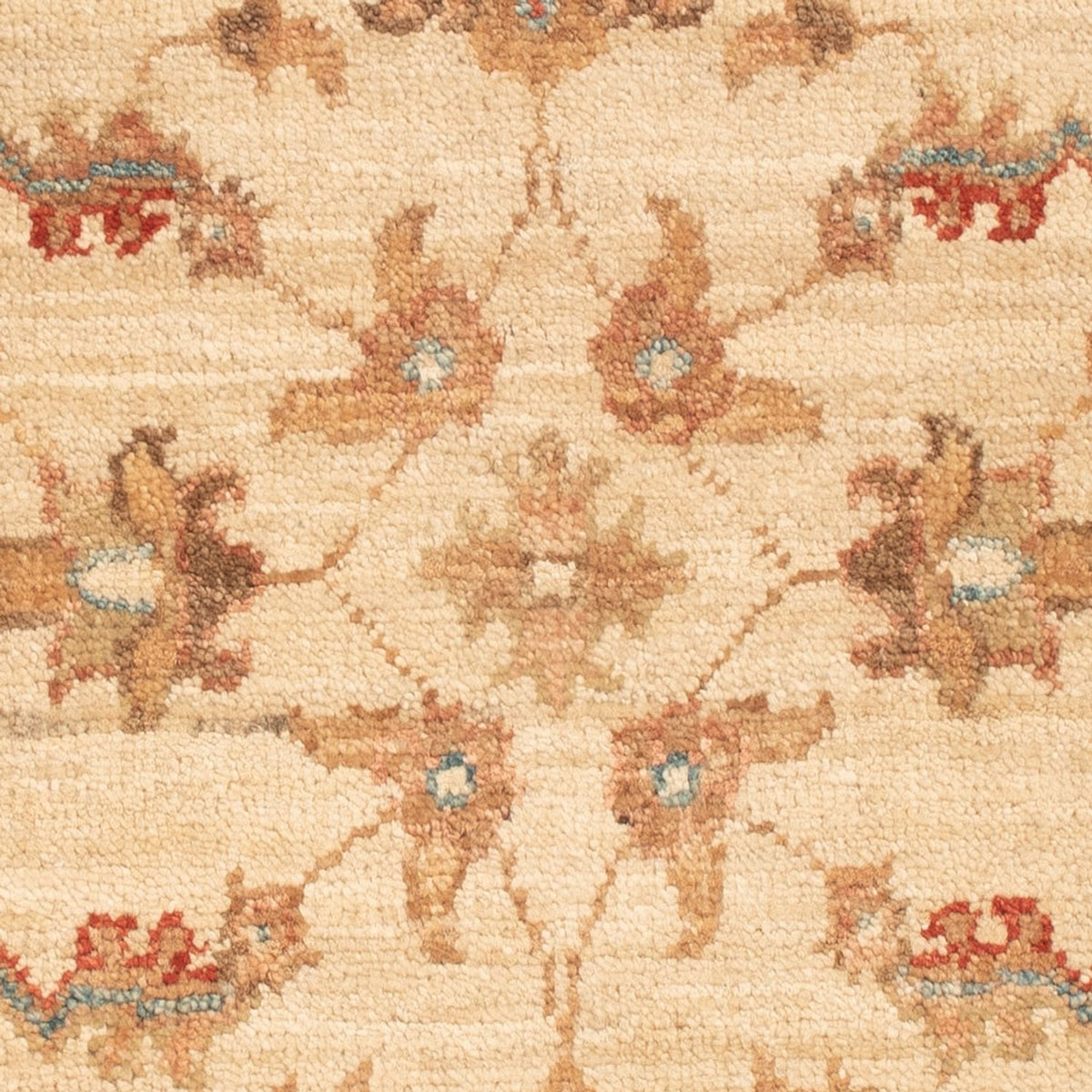 Alfombra Ziegler - 66 x 50 cm - beige