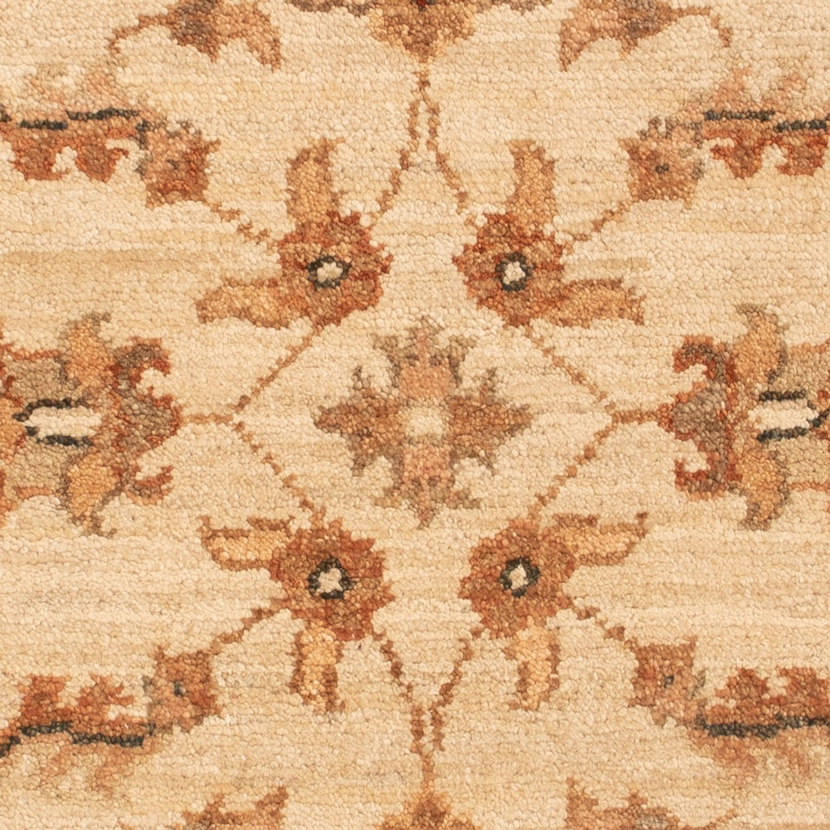 Alfombra Ziegler - 70 x 52 cm - beige