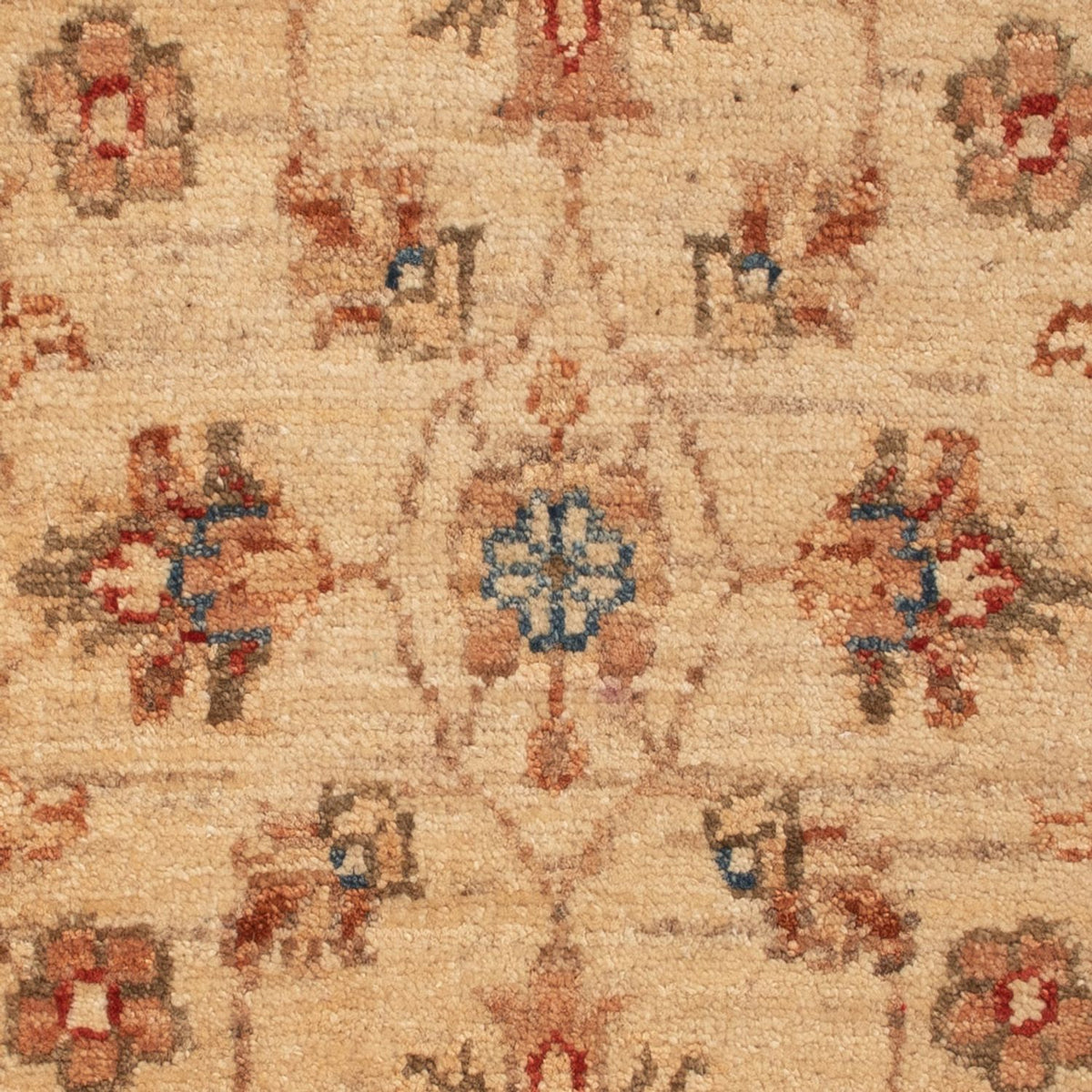 Alfombra Ziegler - 68 x 48 cm - beige