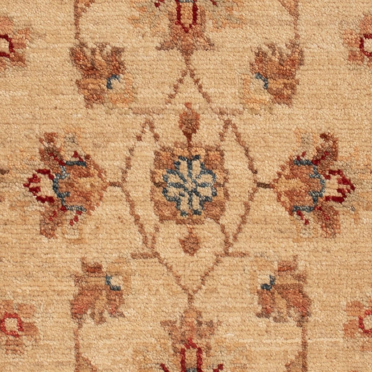 Alfombra Ziegler - 70 x 51 cm - beige