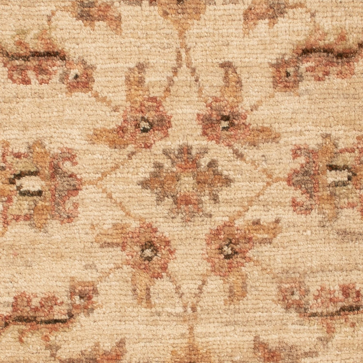 Alfombra Ziegler - 70 x 50 cm - beige