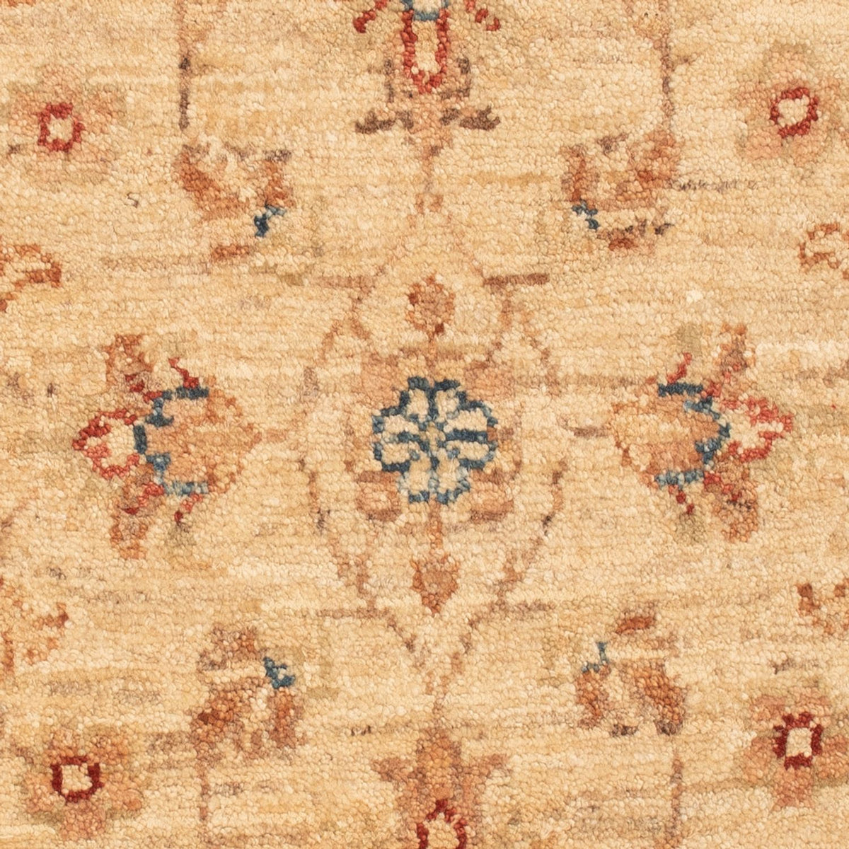 Alfombra Ziegler - 75 x 52 cm - beige