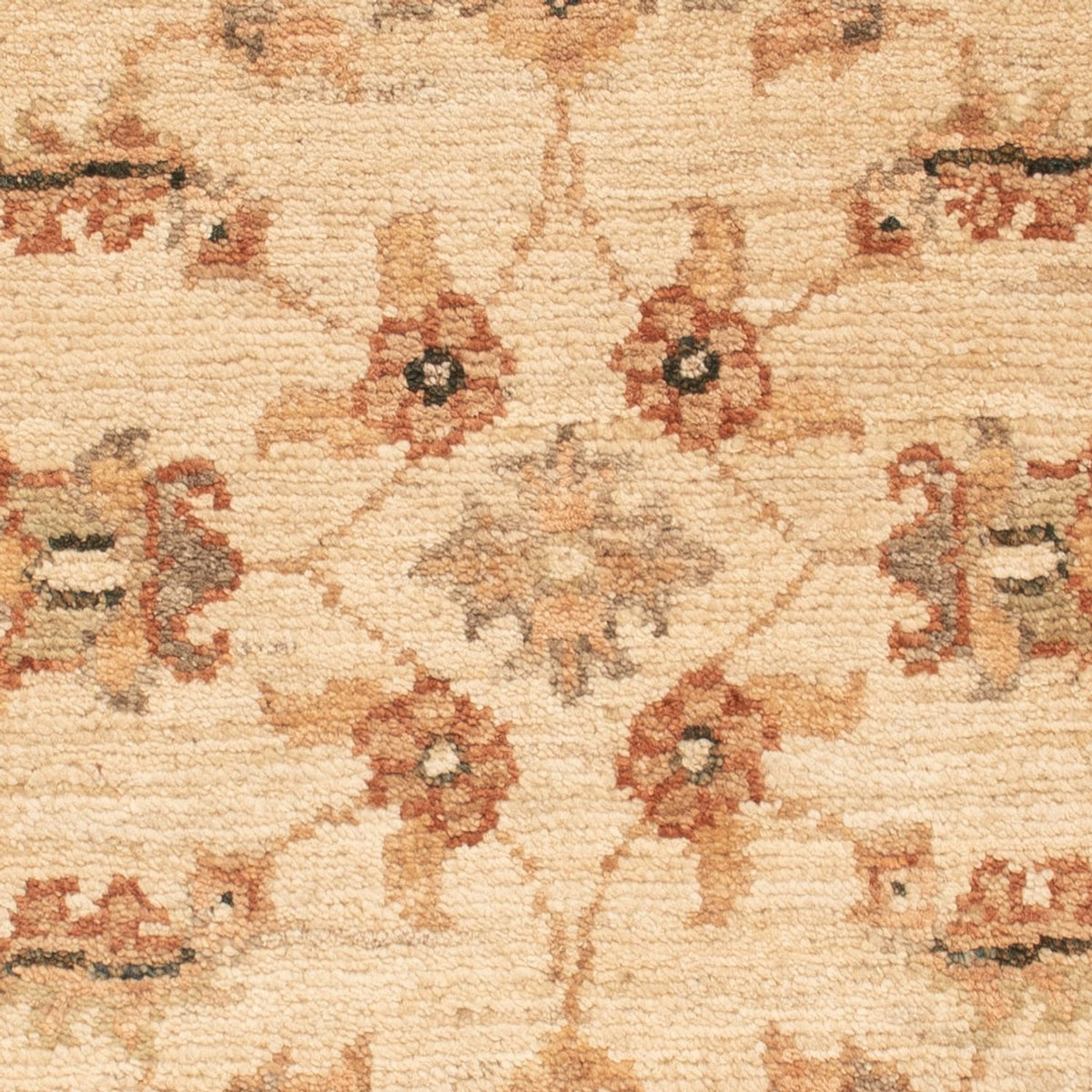 Alfombra Ziegler - 71 x 51 cm - beige