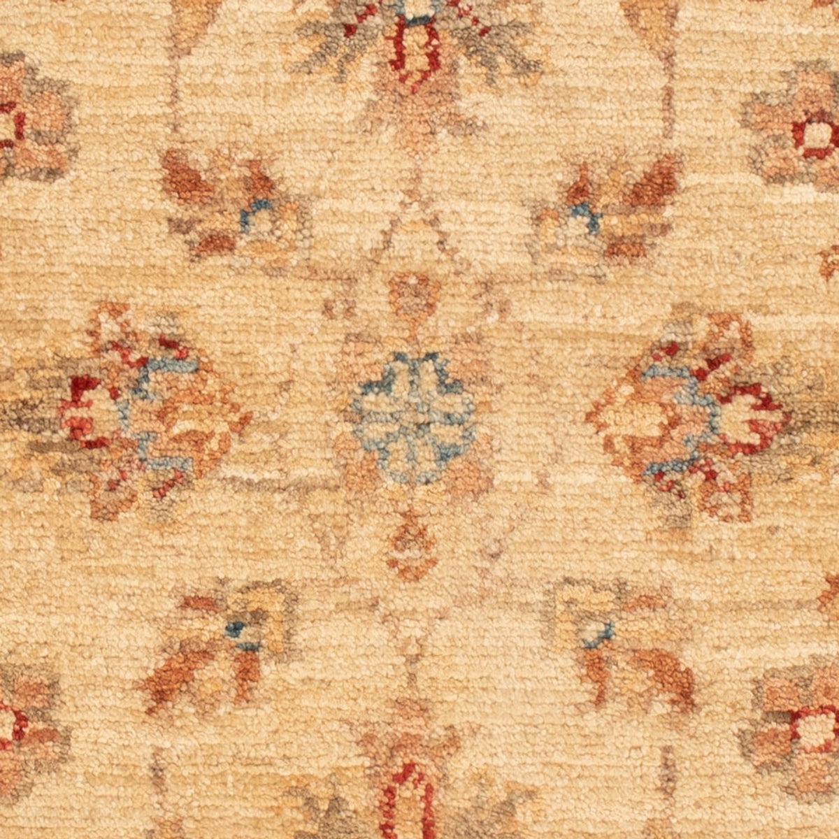 Alfombra Ziegler - 65 x 48 cm - beige