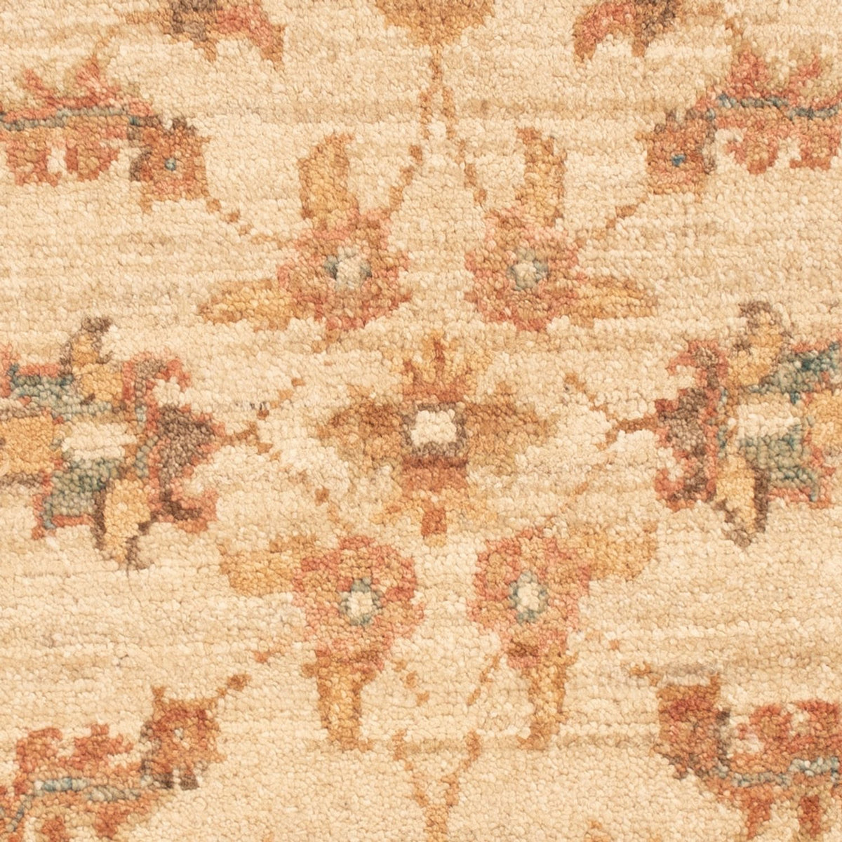 Alfombra Ziegler - 70 x 52 cm - beige