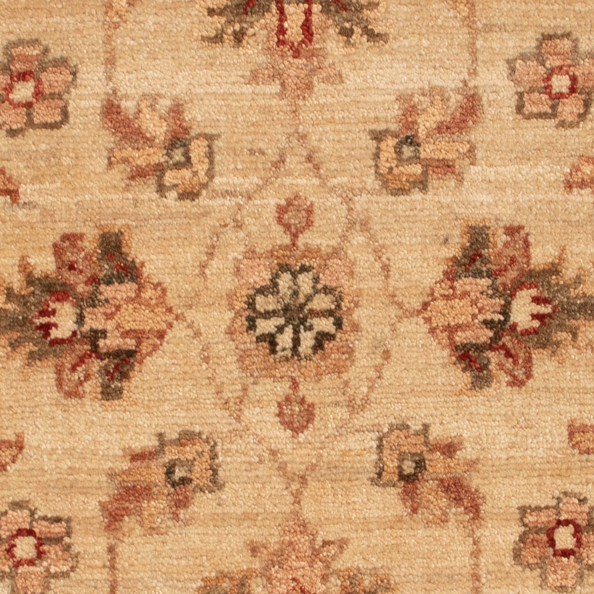 Alfombra Ziegler - 70 x 50 cm - beige