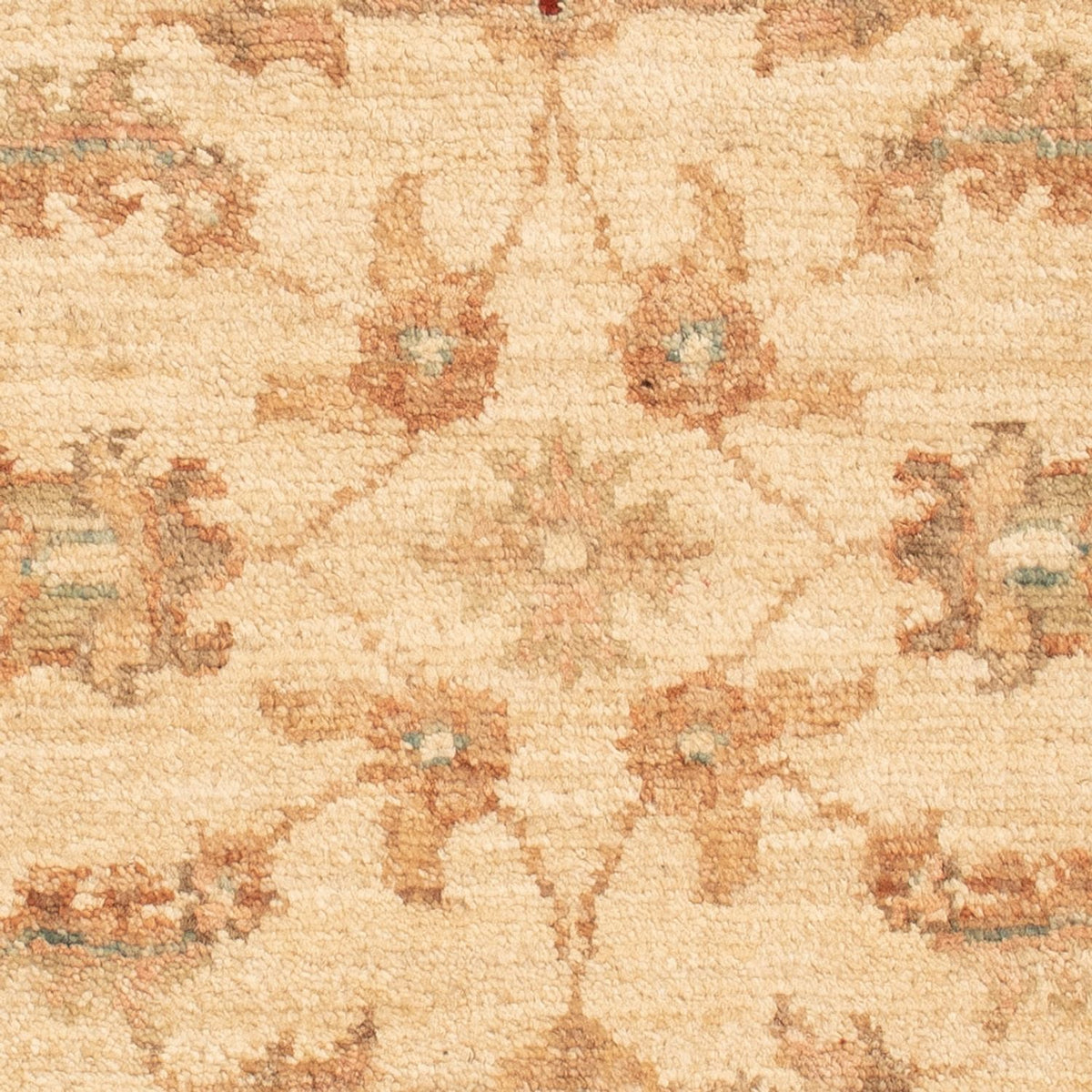 Alfombra Ziegler - 70 x 50 cm - beige