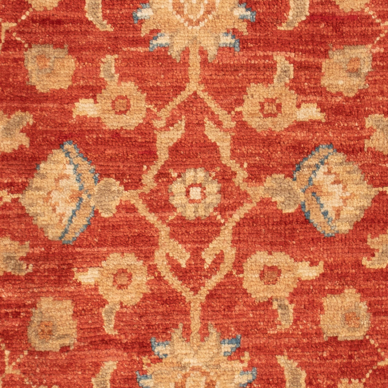 Alfombra Ziegler - 91 x 61 cm - rojo