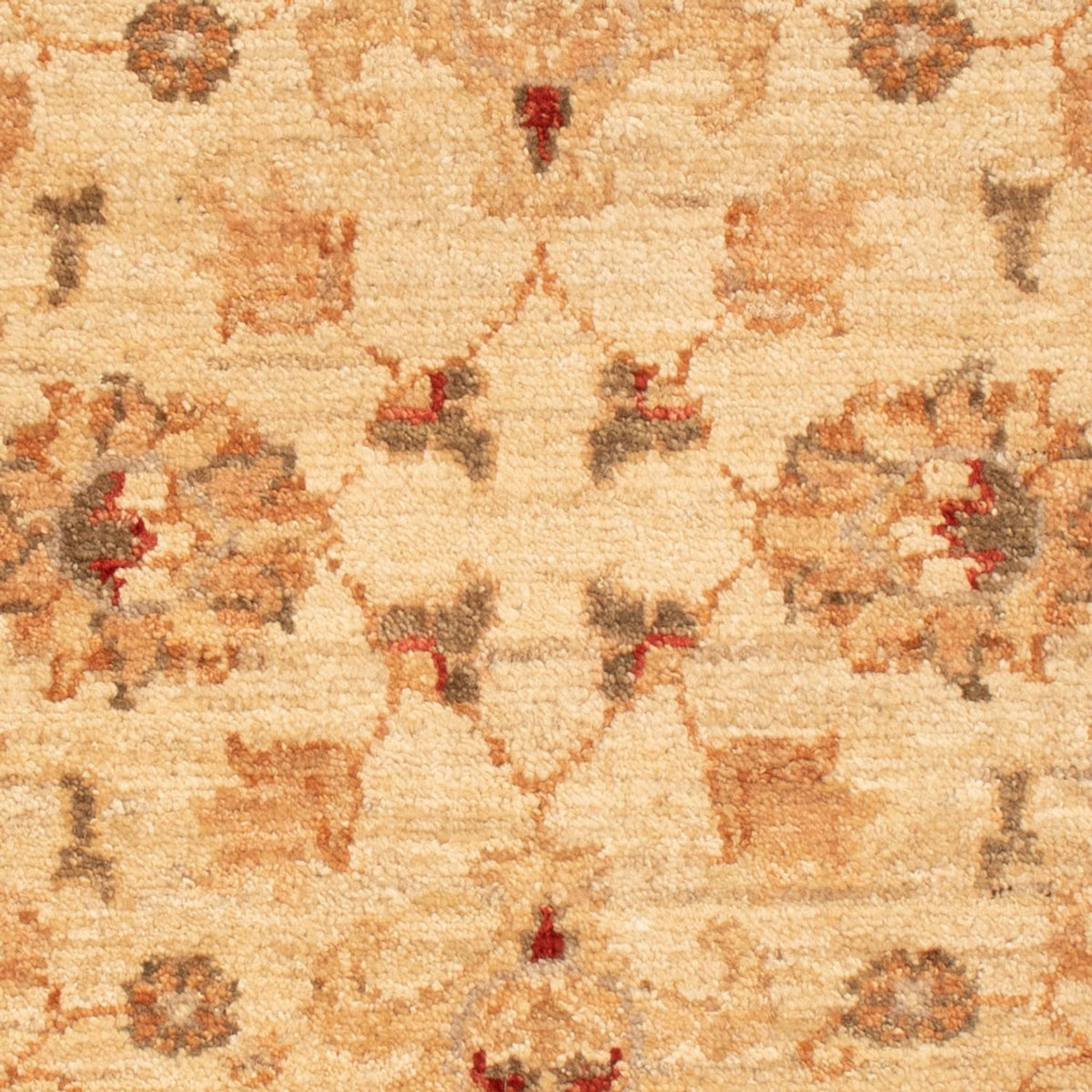 Alfombra Ziegler - 90 x 61 cm - beige