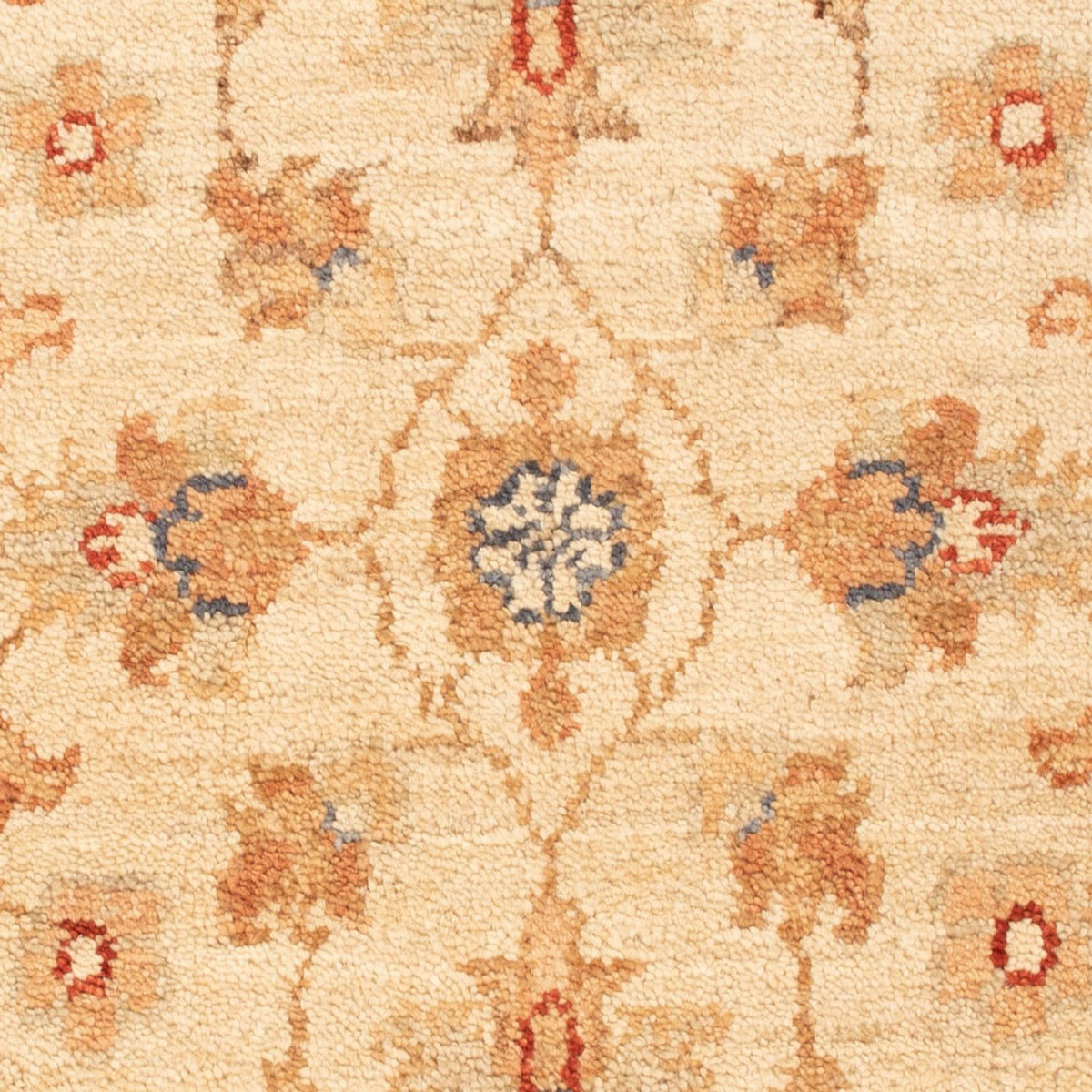 Alfombra Ziegler - 78 x 53 cm - beige