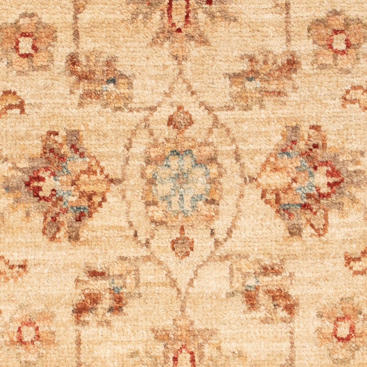 Alfombra Ziegler - 70 x 50 cm - beige