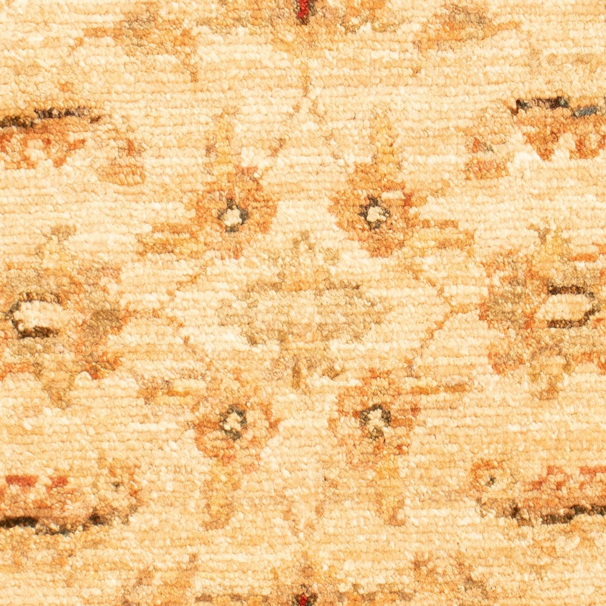 Alfombra Ziegler - 70 x 50 cm - beige