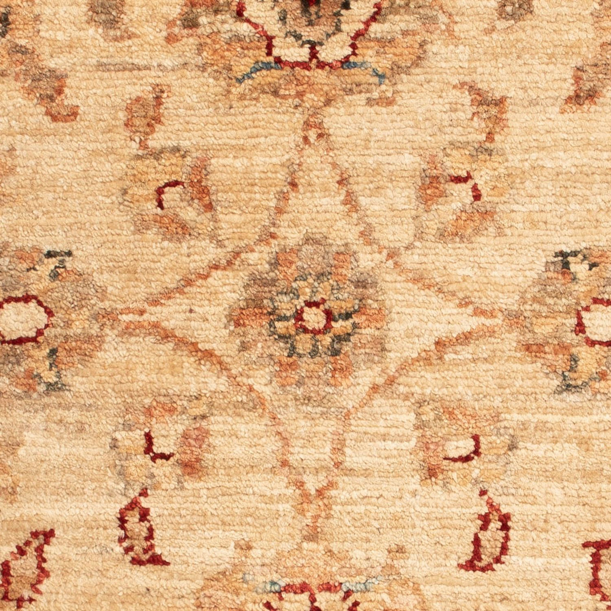 Alfombra Ziegler - 65 x 51 cm - beige